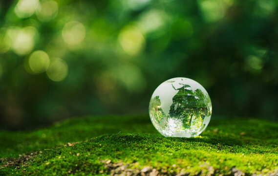 Crystal earth in forest Environment, save world, earth day and conservation and renewable energy concept.