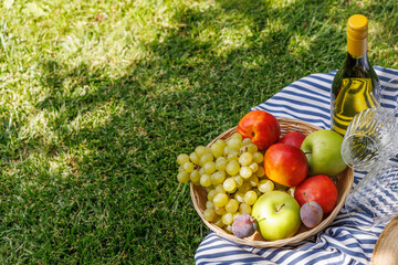 Fototapeta premium Picnic with wine, fruits, and baguette on a green meadow