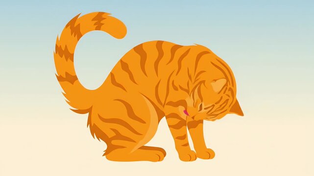 Orange tabby cat grooming its paw on a simple background