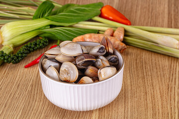 Raw fresh wild clams mollusc © Andrei Starostin