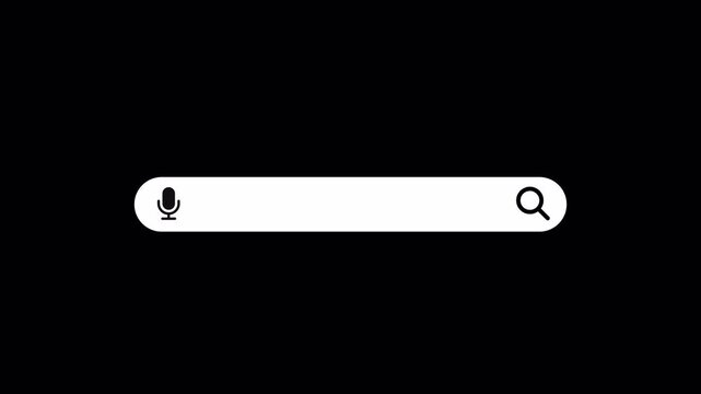 search bar Animation with alpha channel, browsing search bar button animation on transparent background, Search bar animated with magnify glass icon,Web search bar icon animation.