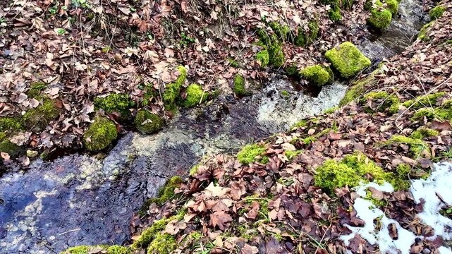 A peaceful stream flows through a forest bed covered in brown autumn leaves and vibrant green mossy rocks. Small patches of snow linger on the banks during the seasonal transition.