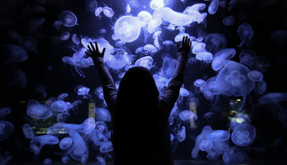 aquarium with Jellyfish
