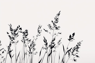 Obraz premium Elegant Silhouette of Grasses Against a Light Background