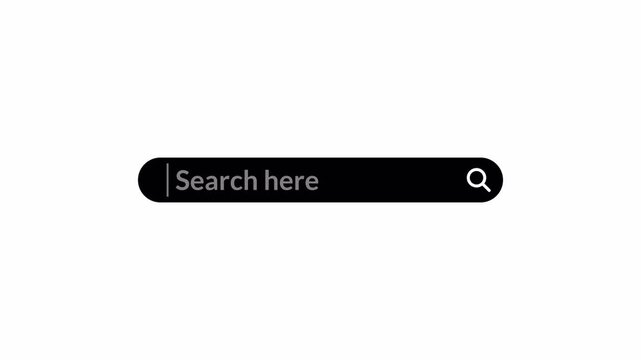 search bar Animation with alpha channel, browsing search bar button animation on transparent background, Search bar animated with magnify glass icon,Web search bar icon animation.