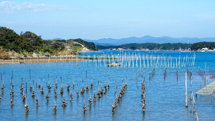 三重県志摩市の英虞湾に整然と並ぶ真珠養殖の筏と穏やかな海面に浮かぶ一艘の作業船