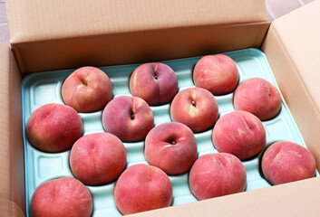 段ボール箱の中にきれいに並んだ新鮮な桃