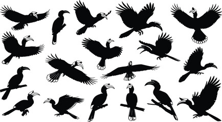 Hornbill bird silhouette icon set featuring tropical wildlife in flying and perched poses, exotic forest species, black vector illustrations isolated on white background © Rana