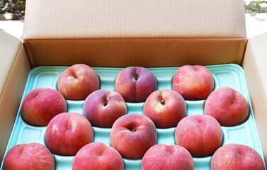 段ボール箱の中にきれいに並んだ新鮮な桃