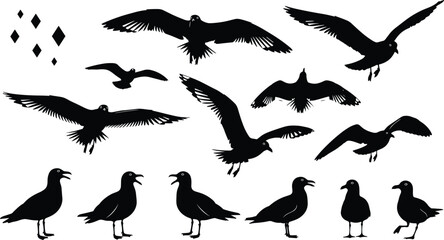 Seagull bird silhouette collection showing flying and standing coastal birds, wildlife nature poses, minimal black vector illustrations isolated on white background