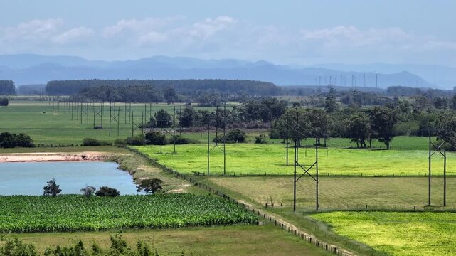 Telephoto 7x view of high voltage transmission lines across farmland with distant wind turbines.