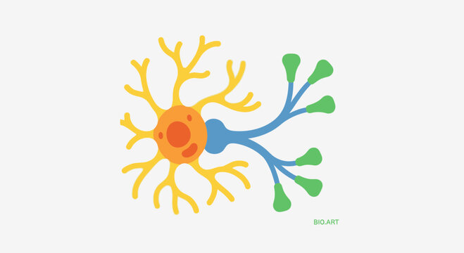 Colorful illustration of a neuron cell with dendrites and axon terminals.