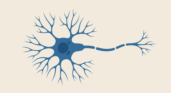 Illustration of a neuron cell with dendrites and axon.