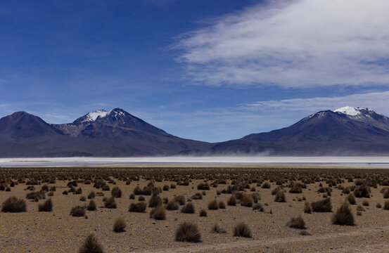 The Salar de Surire Natural Monument in Chile