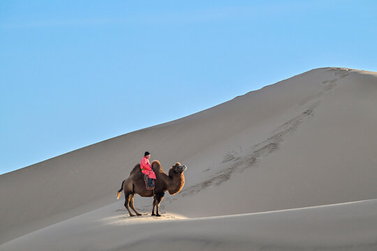 Nomadic man riding Bactrian camel on sand dune in Gobi Desert Mongolia