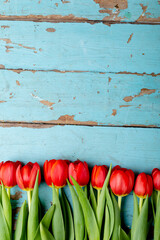 Overhead view of fresh red tulips arranged on blue old table, copy space