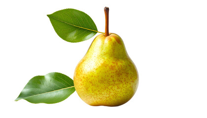 A ripe, textured pear featuring a long stem and attached green leaves against a stark black background