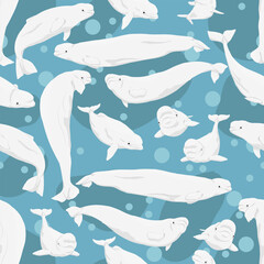 Seamless pattern with beluga whales. Realistic vector aquatic mammal. © AnnstasAg
