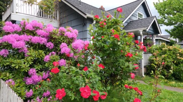 The backjard with group of bushes and plants in front of house wall. Garden design - Puyallup, WA USA, 08.10. 2025