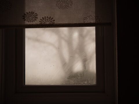Trees on dreary miserable foggy day view through misty window 