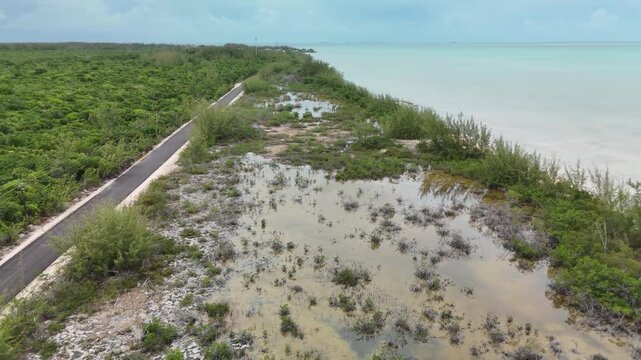 Aerial view of the beautiful turquoise ocean meeting the sandy shore lined with lush green trees, creating a vibrant contrast of colors, Eleuthera, Bahamas.