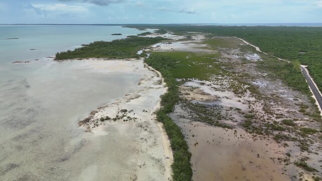 Aerial view of the coastline showing the contrast between the clear turquoise water and the lush green vegetation, Eleuthera, Bahamas.