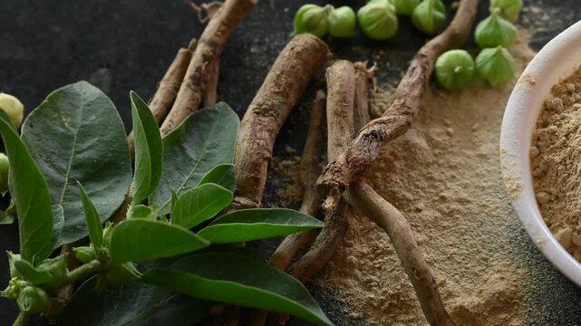 Withania Somnifera , Aswaganda OR Indian Ginseng is an Ayurveda medicine in stem and powder, roots form. Isolated on plain background