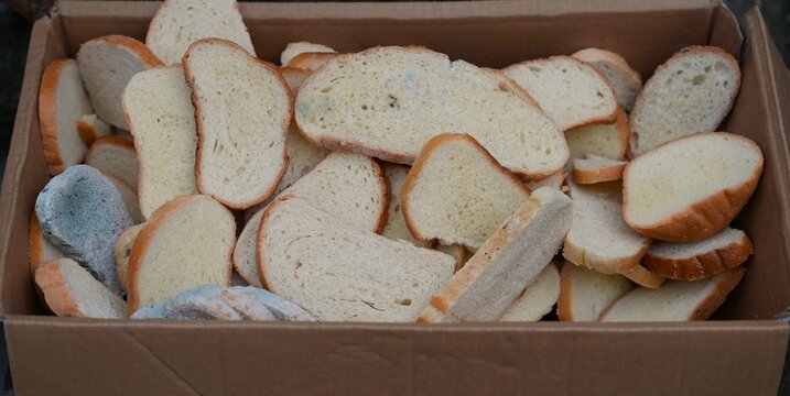 Bakery waste. Bread loss. Uneaten discarded bread. Mold on bread