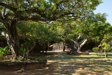 晴れた日で木々が茂り木漏れ日のある歩行用の石を並べた居心地の良い公園