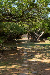 晴れた日で木々が茂り木漏れ日のある歩行用の石を並べた居心地の良い公園