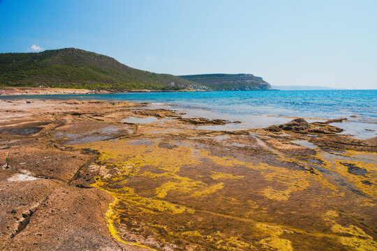 Characteristic environment at the sea shore of Sa Rocca Lada bay, Sardinia, Italy