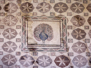 17.06.2025, Paphos, Cyprus: Ancient mosaic in the archaeological park