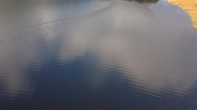 Aerial view of a lone kayaker paddling across the tranquil waters near golden reeds, creating ripples in the dark water, Callander, United Kingdom.