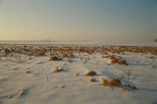 Wide horizontal view of frozen farmland under a winter sky shot on film camera
