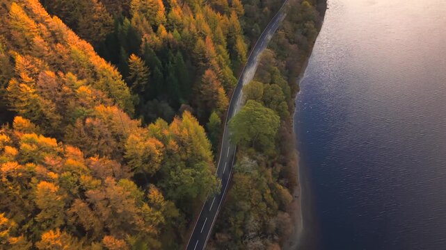 Aerial view of a road winding beside a tranquil lake, contrasting the dark water with the autumnal hues of the adjacent forest, Callander, Scotland, United Kingdom.