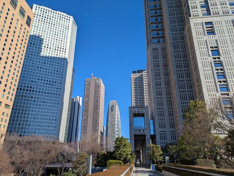 都庁付近から見たコクーンタワー