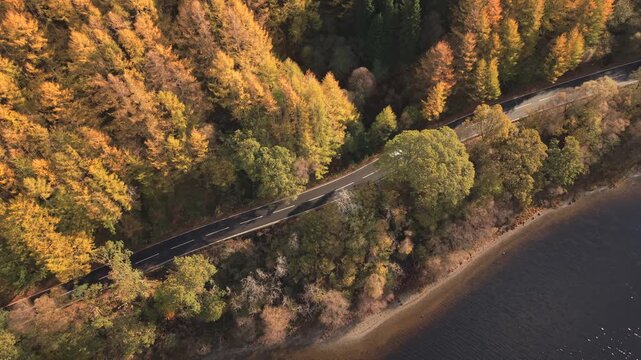 Aerial view of a road winding through a forest with vibrant autumnal colors next to the water's edge, Callander, Scotland, United Kingdom.
