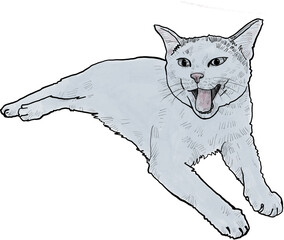 Drawing animal hand drawn cat with open mouth playful feline sketch simple line art relaxed pose expressive pet illustration