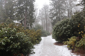 Park Rododendronów w Kromlau © Monika