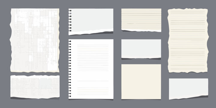 Collection of torn and blank notebook paper sheets on a gray background