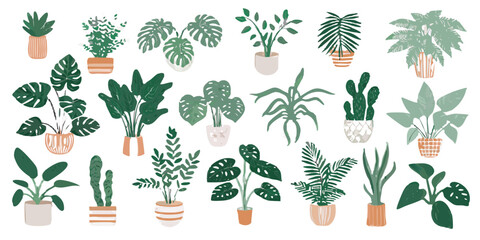 Collection of vibrant green houseplants in various terracotta and white pots © Mityunjoy