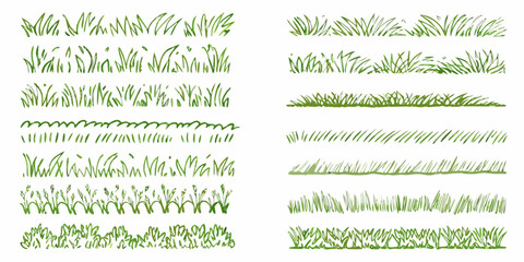 Collection of diverse green grass textures and patterns on white background © Sourav