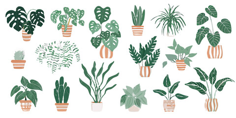 Variety of potted houseplants illustrated against a dark background © SreemotiRaba
