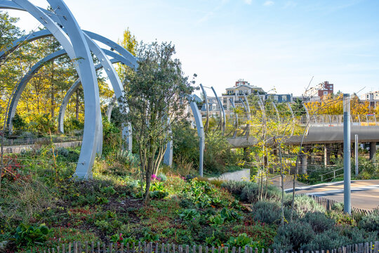 Arches cross a park garden landscape along a walkway in daylight autumn in Promenade de la Rose de Cherbourg Paris La Defense France