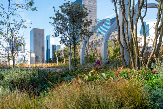 Flowers and trees in a garden park with a skyline in daylight autumn in Promenade de la Rose de Cherbourg Paris La Defense urban