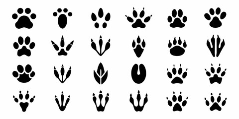 Obraz premium Collection of various animal footprints and paw prints in black