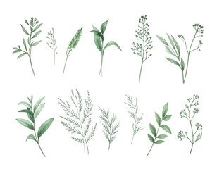 Fototapeta premium Hand-drawn botanical illustration with various green leaves and stems on a black background