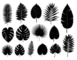 Collection of stylized, silhouetted botanical leaf forms set against a stark, black backdrop
