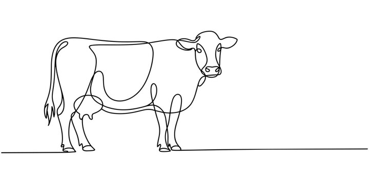 Self drawing line Cow on pasture Grazing cow continuous one single line drawn concept ,One continuous line drawing of cow face. Minimal pet cow line art full-length.