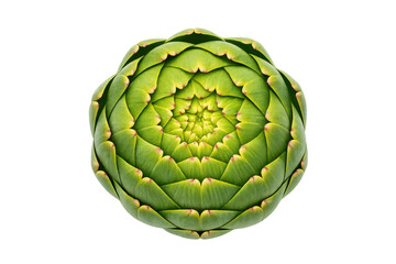 Fototapeta premium Top view of artichoke with geometric pattern on green gradient background